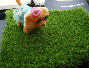 Characteristics and Applications of Sport Grass