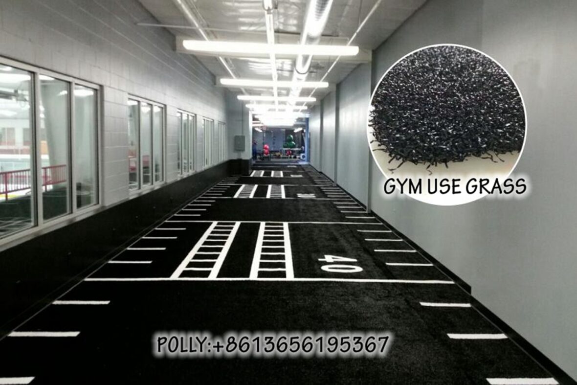 Gym Field