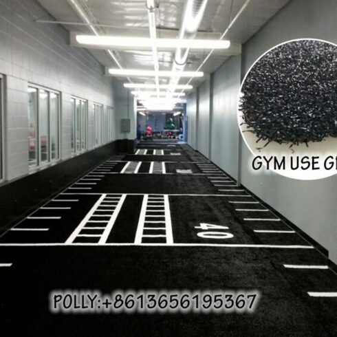 Gym Field