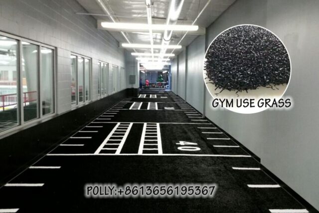 Gym Field