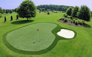 Multifunction grass
