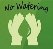NO WATERING