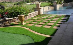 landscape Grass